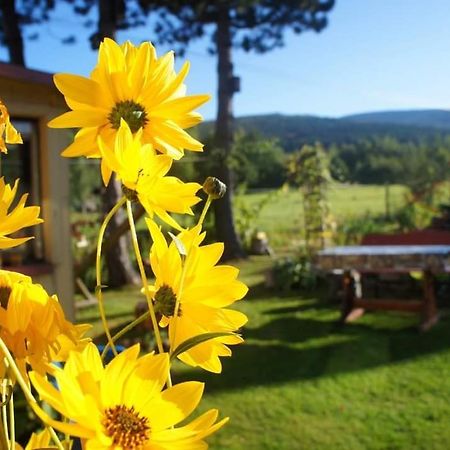 Dom Na Przedgorzu-Apartamenty Z Widokiem Na Gory Świeradów-Zdrój Exteriér fotografie