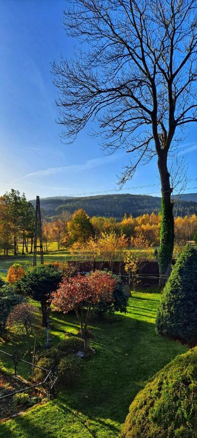 Dom Na Przedgorzu-Apartamenty Z Widokiem Na Gory Świeradów-Zdrój Exteriér fotografie