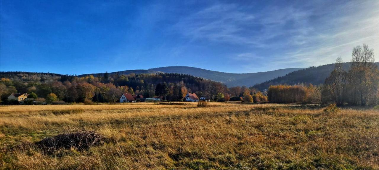 Dom Na Przedgorzu-Apartamenty Z Widokiem Na Gory Świeradów-Zdrój Exteriér fotografie