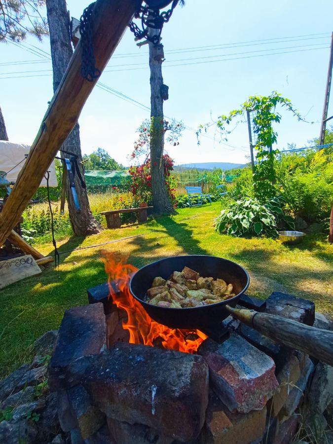 Dom Na Przedgorzu-Apartamenty Z Widokiem Na Gory Świeradów-Zdrój Exteriér fotografie