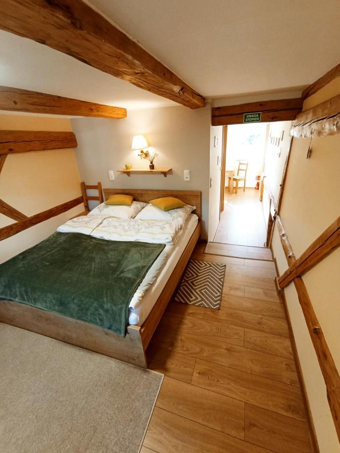 Dom Na Przedgorzu-Apartamenty Z Widokiem Na Gory Świeradów-Zdrój Exteriér fotografie