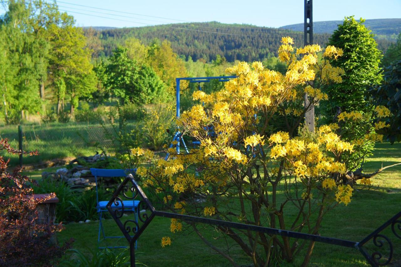Apartmán Dom Na Przedgorzu Świeradów-Zdrój Exteriér fotografie